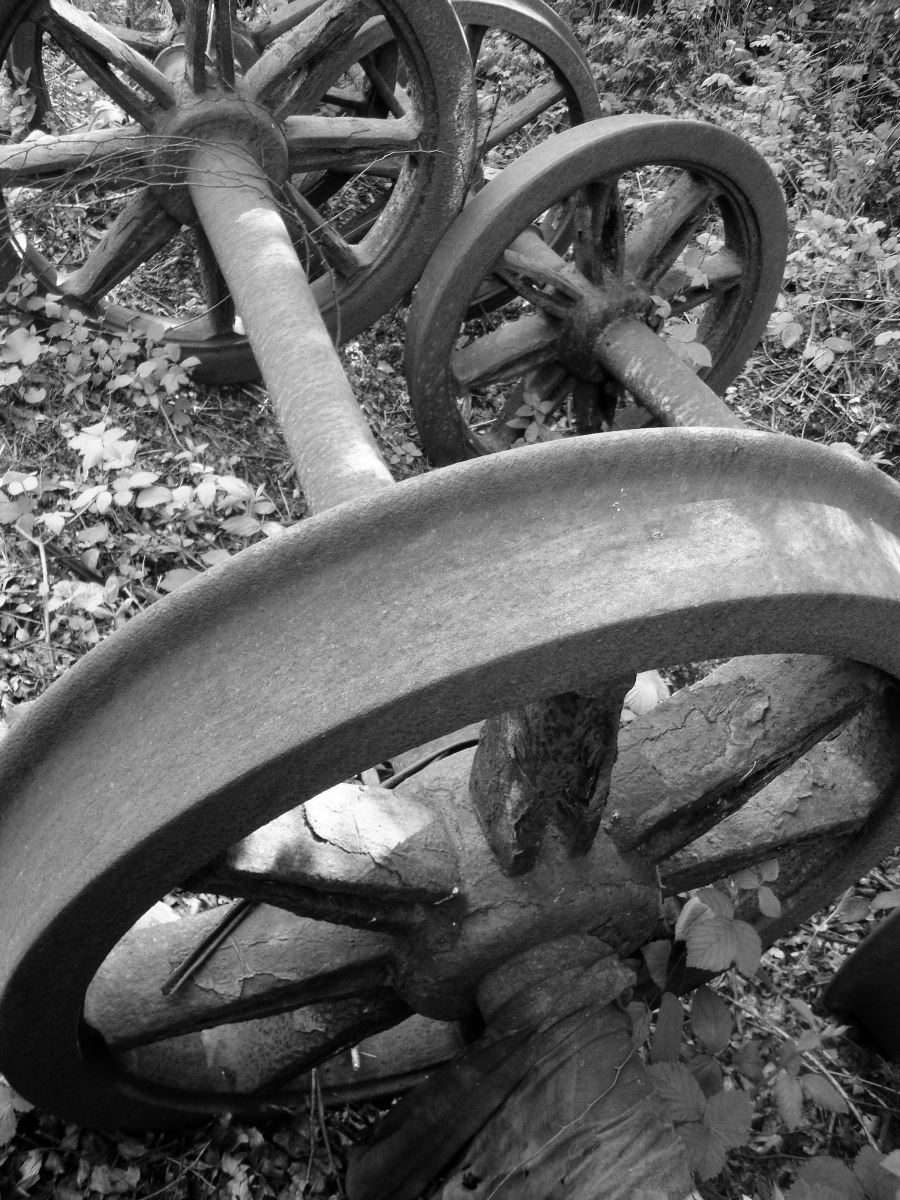 Rusty standard gauge wheelsets in long grass