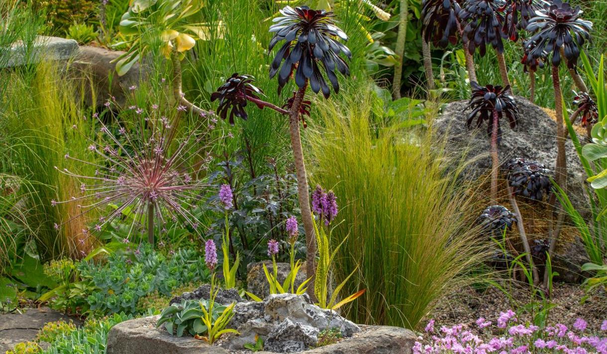 York Gate Garden