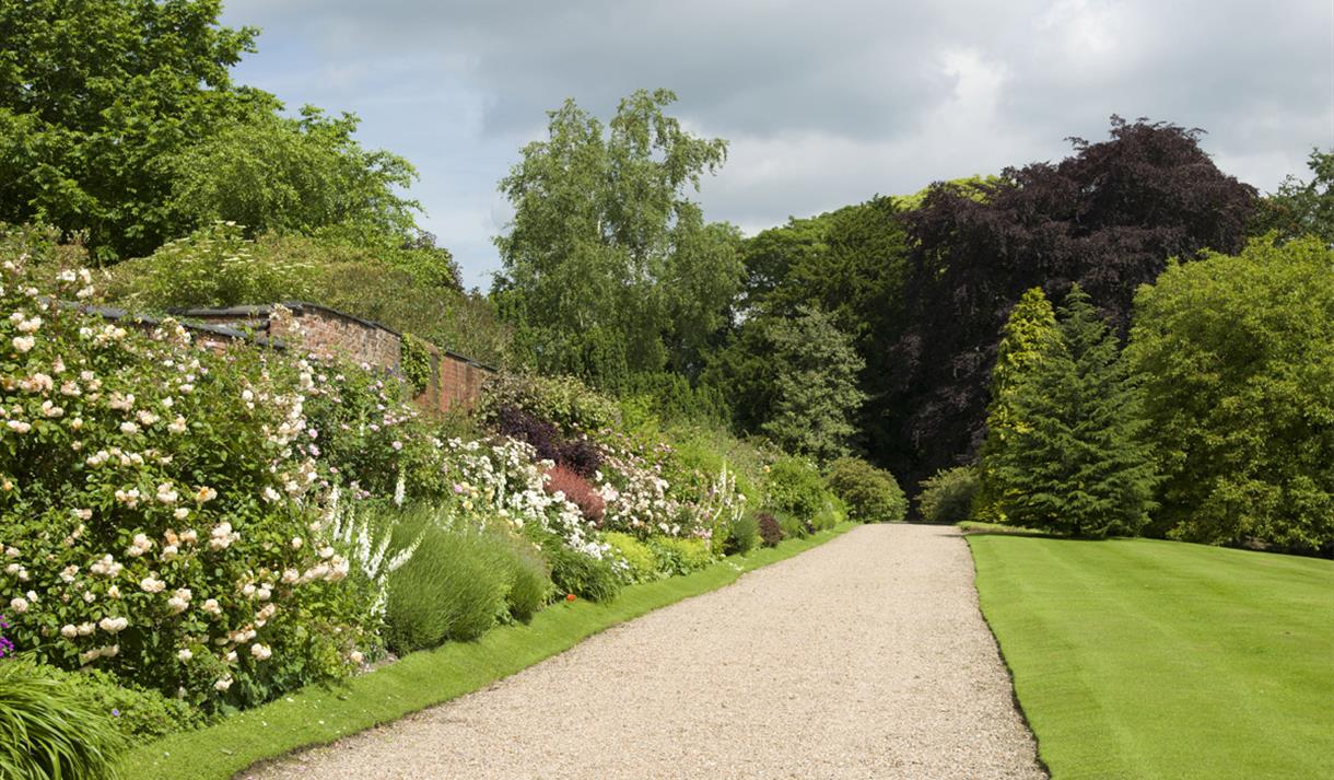 Arbury Hall garden