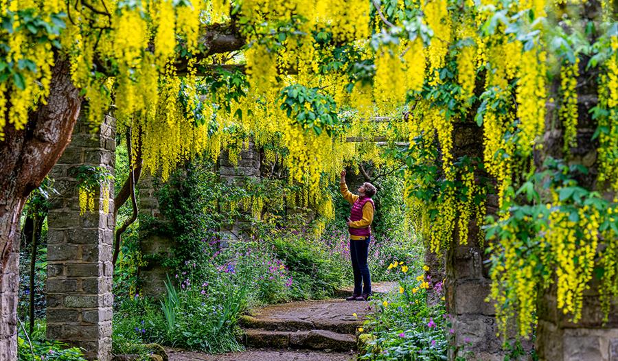 Newby Hall & Gardens