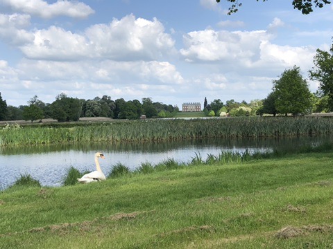 The Landscape Gardens at Wotton House