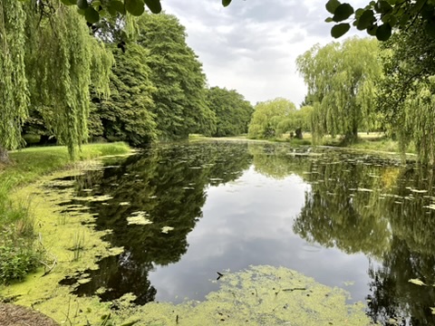 The Landscape Gardens at Wotton House