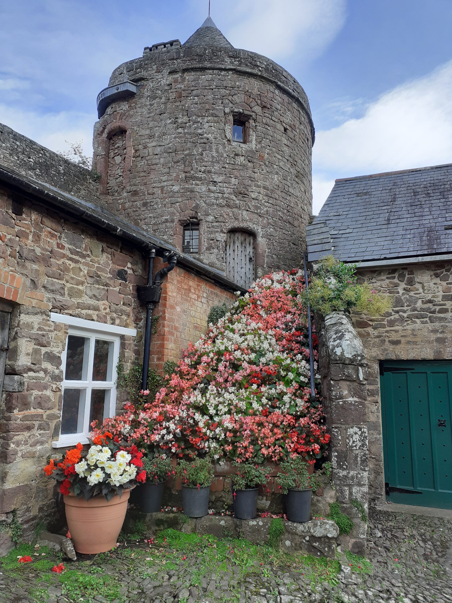 Tiverton Catle- Marjorie Anne Howe 1
