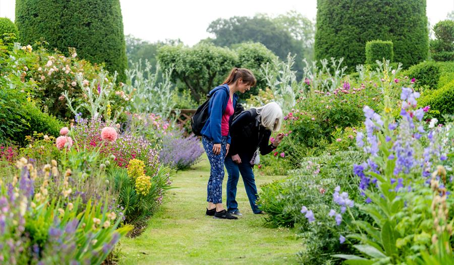 Hatfield House gardens