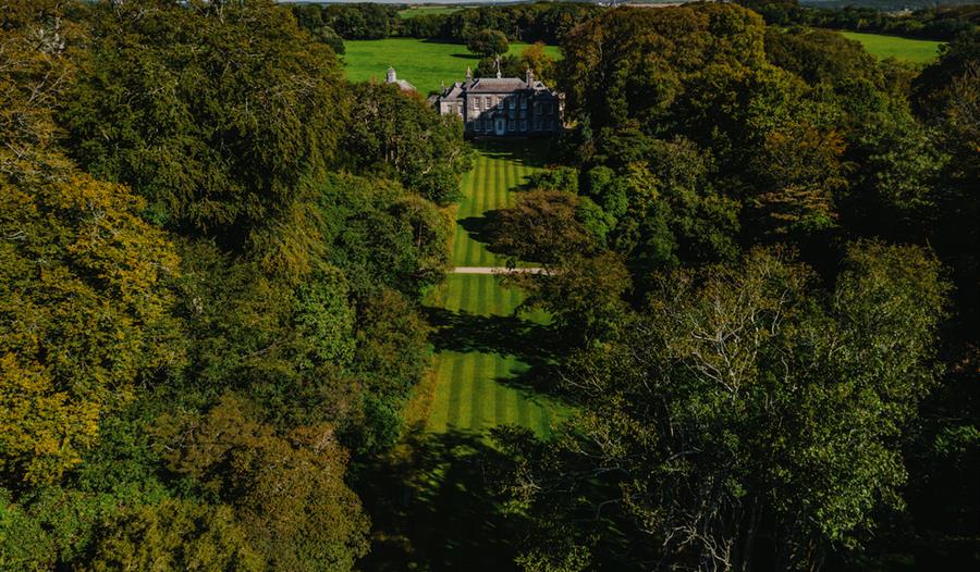 Trewithen Estate Gardens