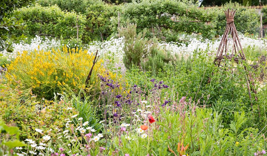 Kentwell Hall gardens
