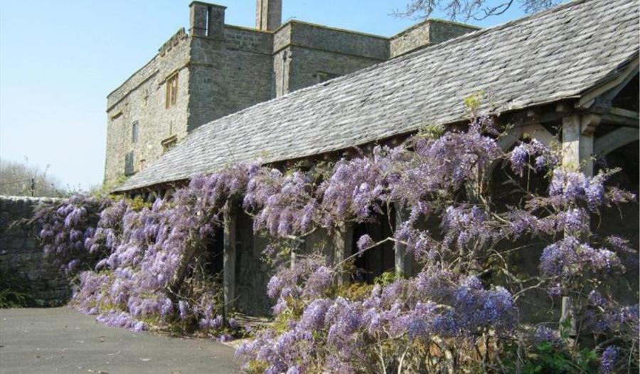 Court House Gardens