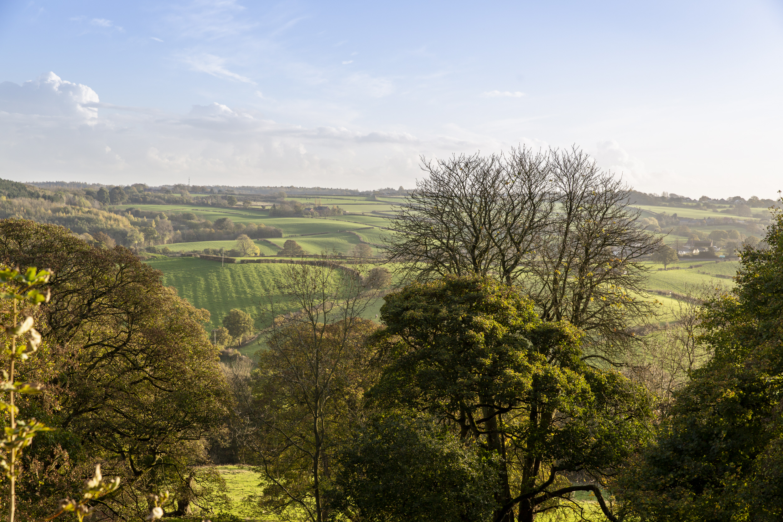 Hardwick Hall in autumn - views fromm the cafe