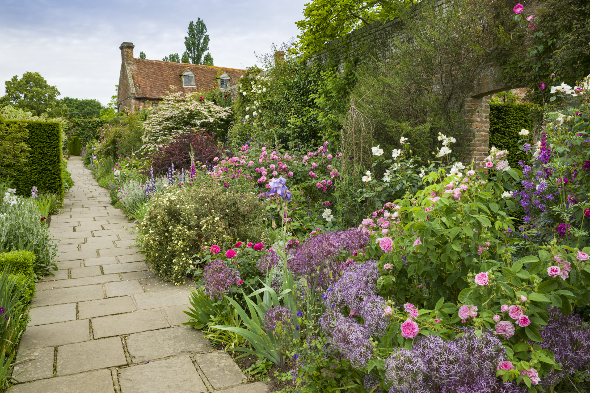 The Rose Garden in June at Sissinghurst Castle Garden, Kent.