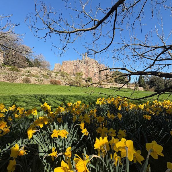 Berkeley castle