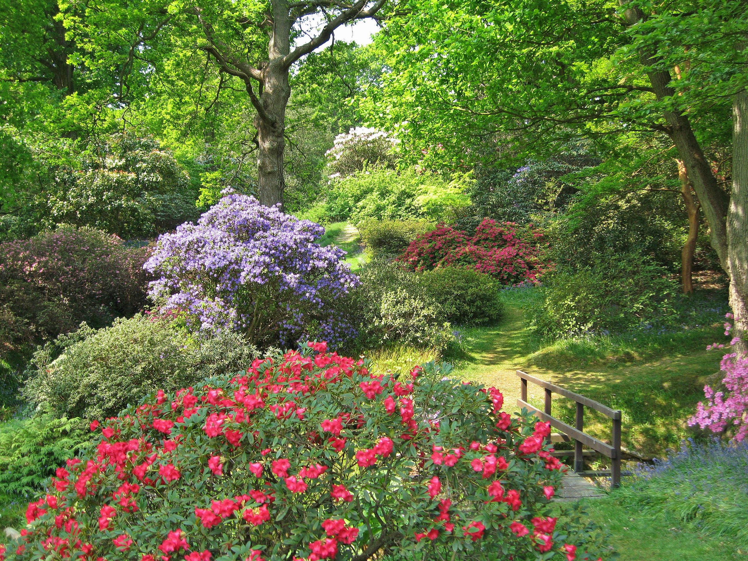 High Beeches Woodland and Water Garden