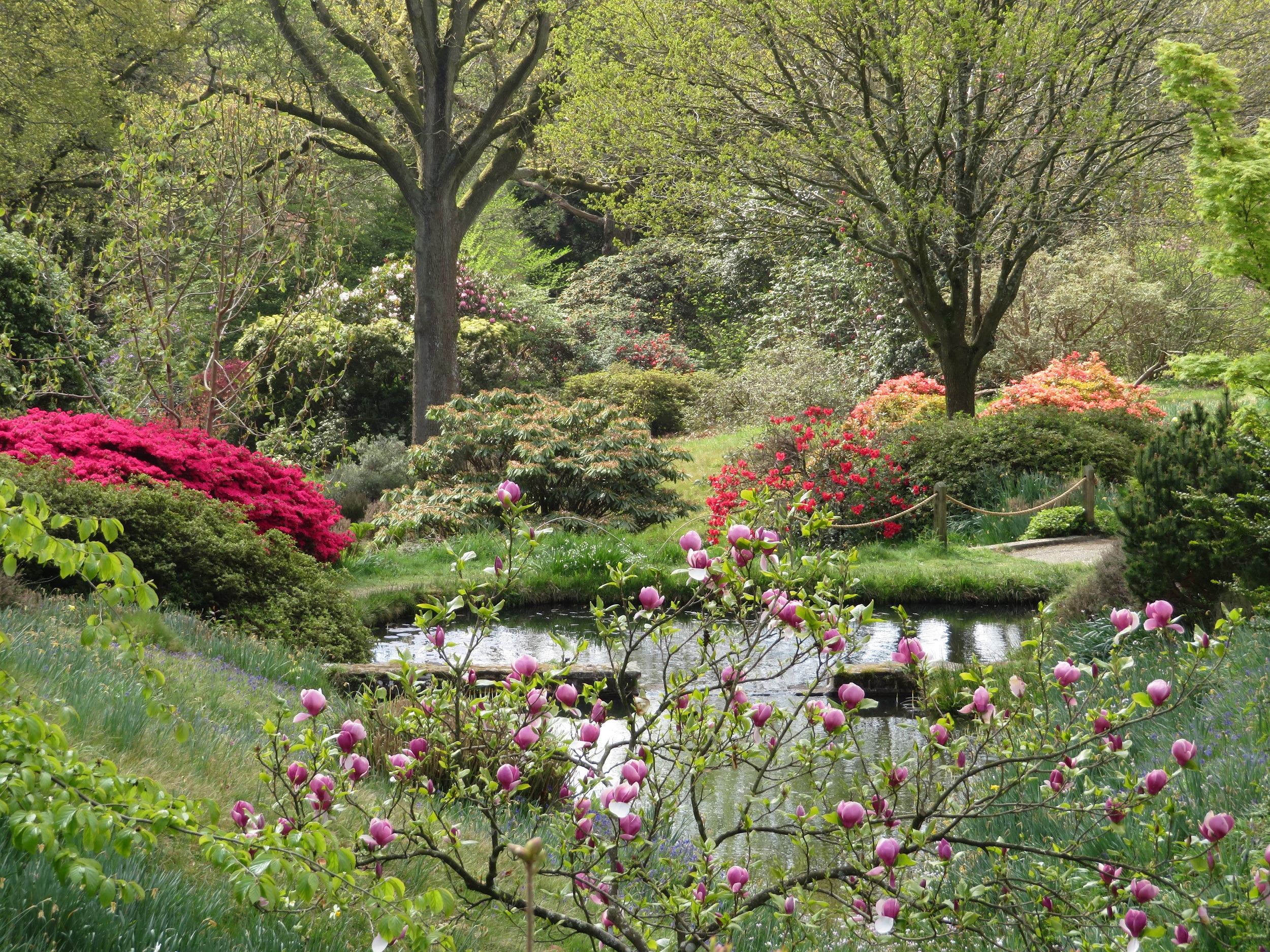 High Beeches Woodland and Water Garden