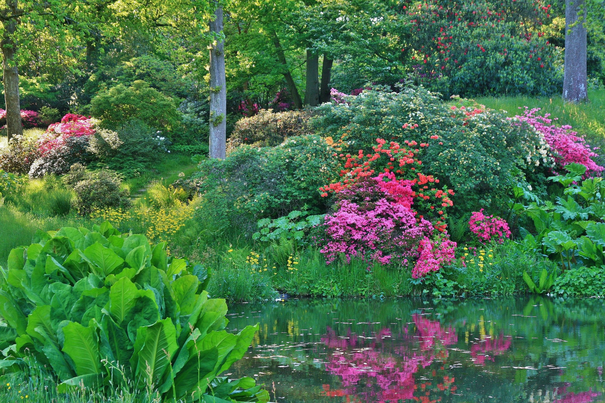 High Beeches Woodland and Water Garden
