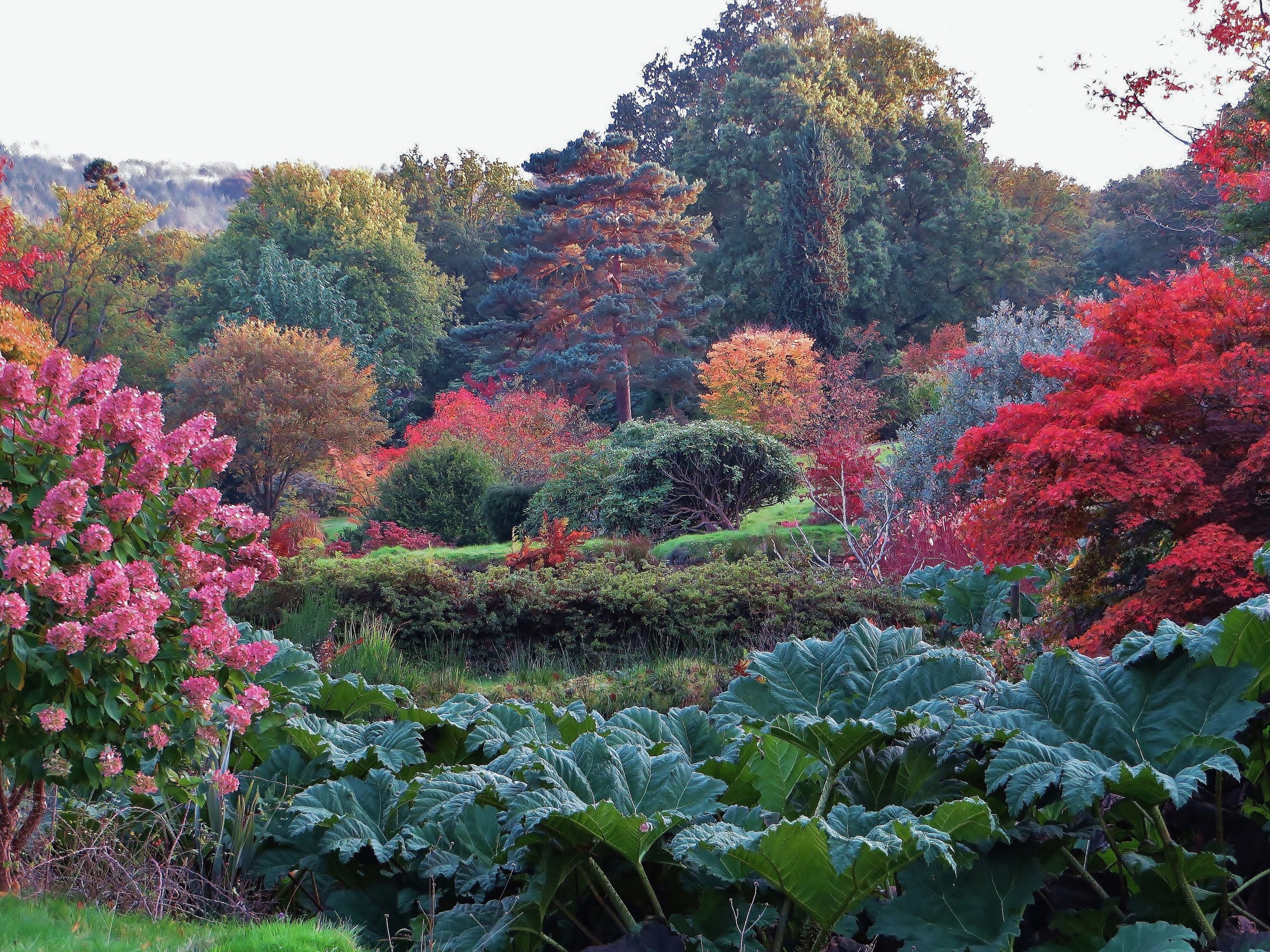 High Beeches Woodland and Water Garden