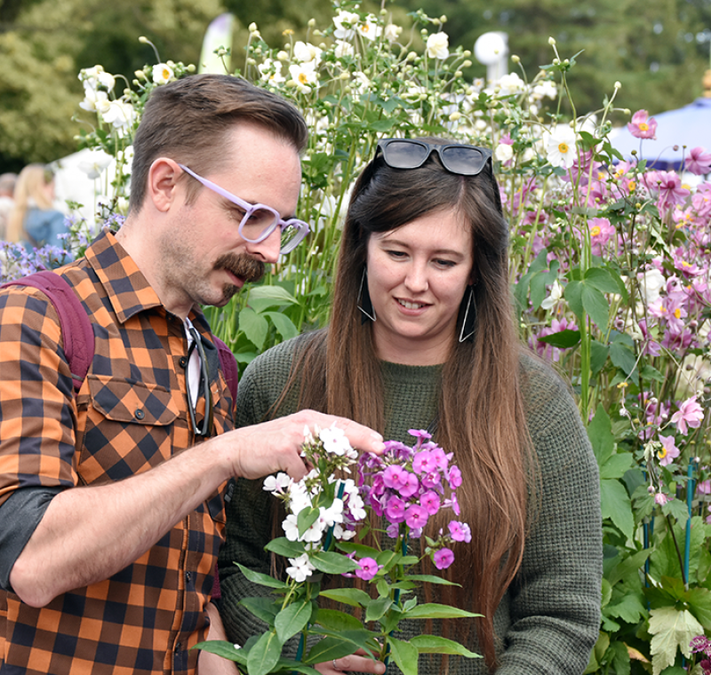 Harrogate Flower Show Autumn