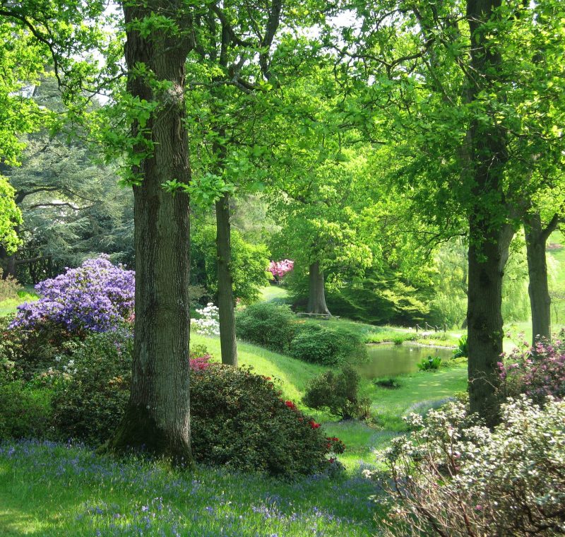 High Beeches Woodland and Water Garden